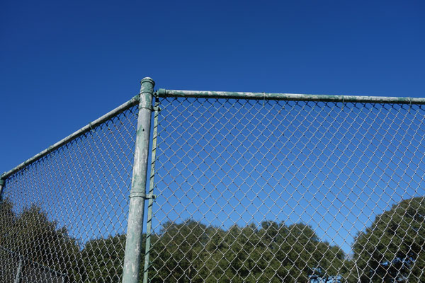 fence-painting